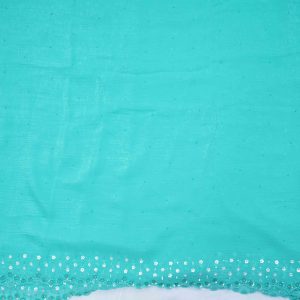 Deep Sky Blue Fancy Work Saree (2)