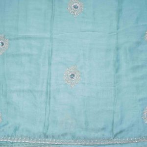 Palitinate Blue Fancy Work Saree (2)