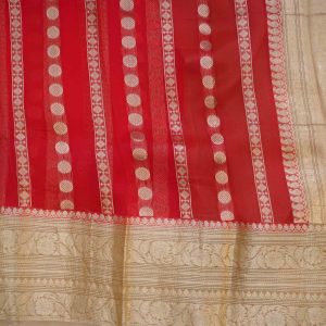 Brick Red Organza Long Floral Design Pattu Saree (2)