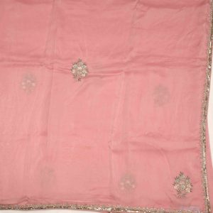 Pastel Pink Designer Work Saree Pallu (2)