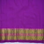 Azure Blue Gadwal Pattu Saree - Image 3