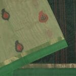 Mint Green Coimbatore Handloom Saree - Image 2