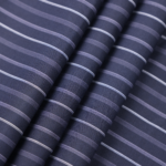 Arvind Cotton Shirt Fabric