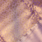 Lavender Kanchipuram Saree - Image 5