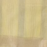 Beige Tussar Fancy Saree - Image 4