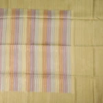 Beige Tussar Fancy Saree (3)