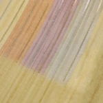Beige Tussar Fancy Saree (5)