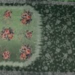 Green Lenin Fancy Saree - Image 3