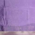 purple tussar fancy saree (4)