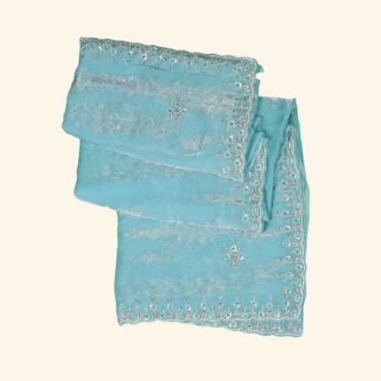 Turquoise Work Saree (1)