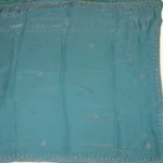 Turquoise Work Saree (3)