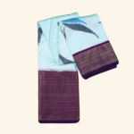 Blue Pochampally Pattu Saree (1)