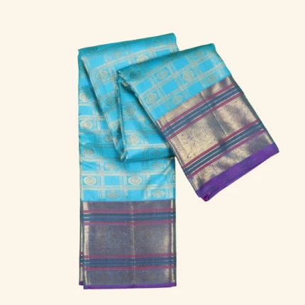 Sky Blue Vintage Kanchipuram Pattu Saree (1)