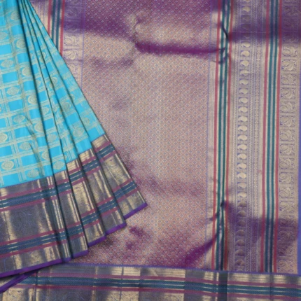 Sky Blue Vintage Kanchipuram Pattu Saree (2)