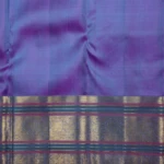 Sky Blue Vintage Kanchipuram Pattu Saree (4)