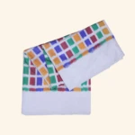 CREAM POCHAMPALLY PATTU SAREE (1)