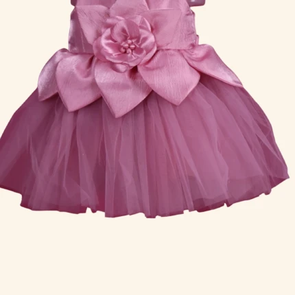 PINK GIRLS SHORT FROCK (2)