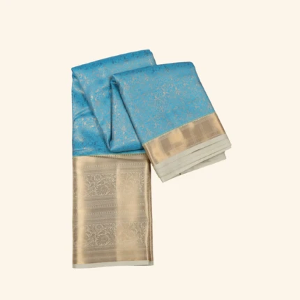 SKY BLUE KANCHHIPURAM SAREE (1)
