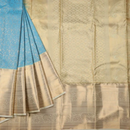 SKY BLUE KANCHHIPURAM SAREE (2)