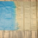 SKY BLUE KANCHHIPURAM SAREE (3)
