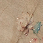 Beige Tussar Fancy Saree (5)