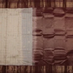 Beige Vintage Kanchi Pattu Saree (2)