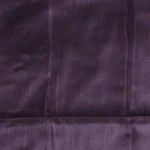 Cream Geometric Circles & Stripes Saree (3)