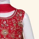 Girls Crystal Red Crop Top (5)
