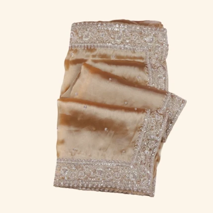 Gold Glass Tissue Saree (1)