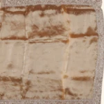 Gold Glass Tissue Saree (2)