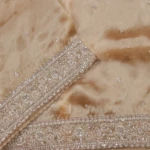 Gold Glass Tissue Saree (3)
