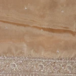 Gold Glass Tissue Saree (4)