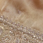Gold Glass Tissue Saree (5)