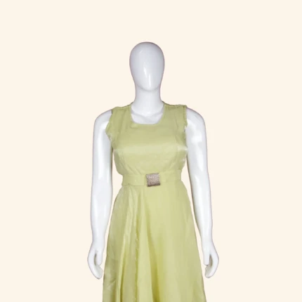 Lime Green Embellished Long Frock (2)