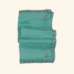 mint green Organza Saree (1)