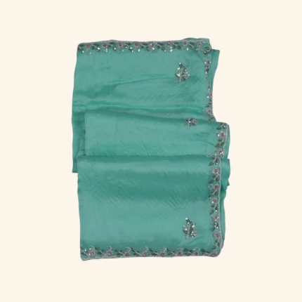 mint green Organza Saree (1)