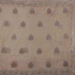 muted beige Glass Tissue Saree (2)