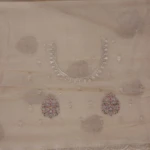 muted beige Glass Tissue Saree (5)