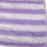 ombré Satin Organza Saree (2)