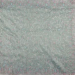 Pale Green Glass Tissue Saree (2)