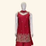 Pink Sharara Set (2)