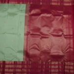 Pista Green Kanchi Pattu Saree (2)