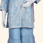 Powder Blue Chikankari Embroidered Sharara Set (4)