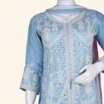 Powder Blue Chikankari Embroidered Sharara Set (5)