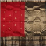 Red Kanchipuram Pattu Saree (2)