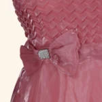 Rose Gold Embellished Long Frock (3)