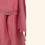 Rose Pink Chanderi Silk Embroidered Sharara Set (4)