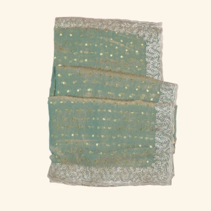 Sea Green Embroidered Tissue Work Saree (1)