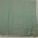 Sea Green Embroidered Tissue Work Saree (2)