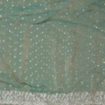 Sea Green Embroidered Tissue Work Saree (4)